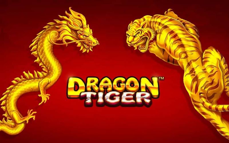Cách chơi Rồng Hổ giỏi từ chuyên gia 888b